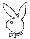 Игровая программа Евгения Века 'Playboy'